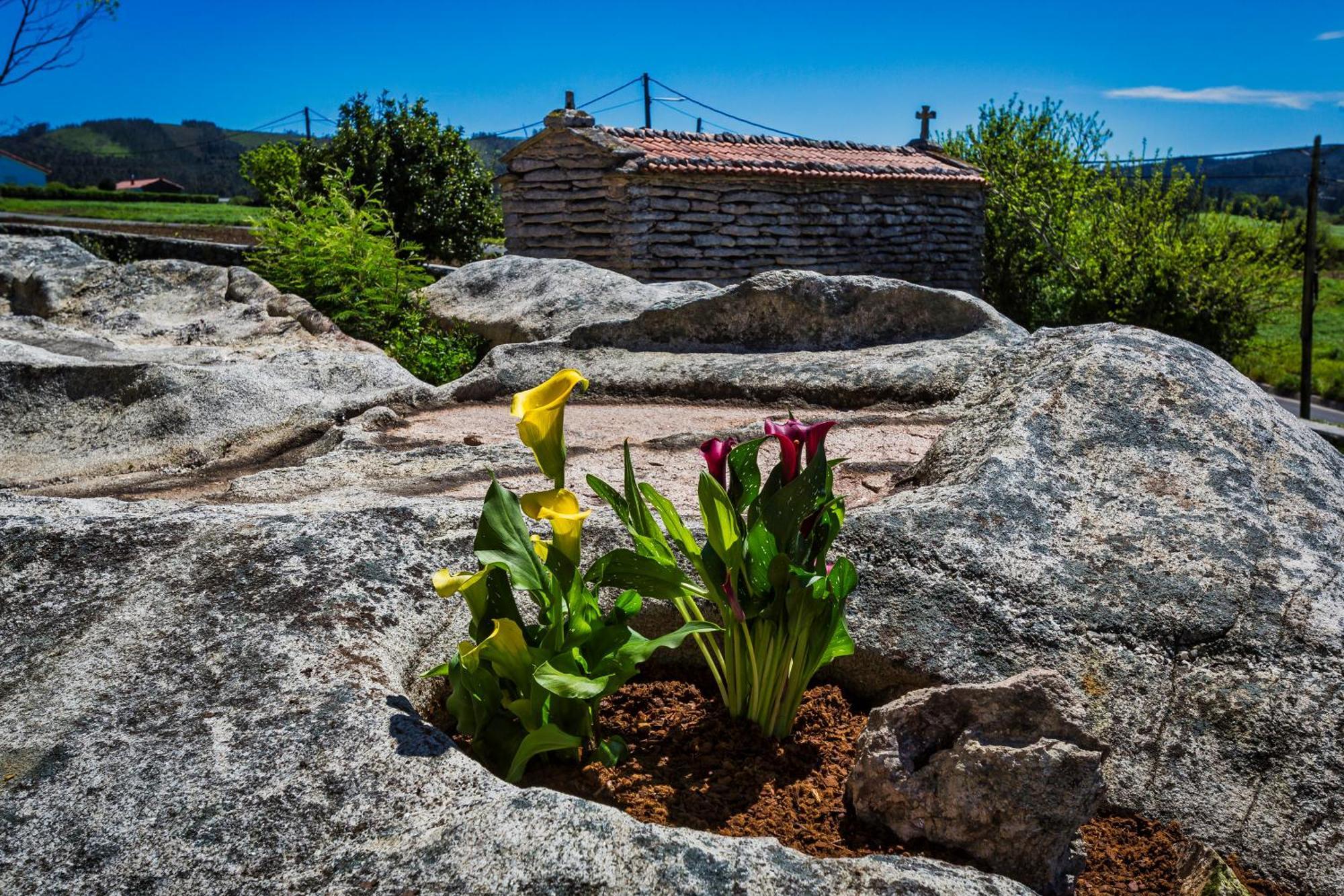 Casa Lela Dumbria Guest House Екстериор снимка