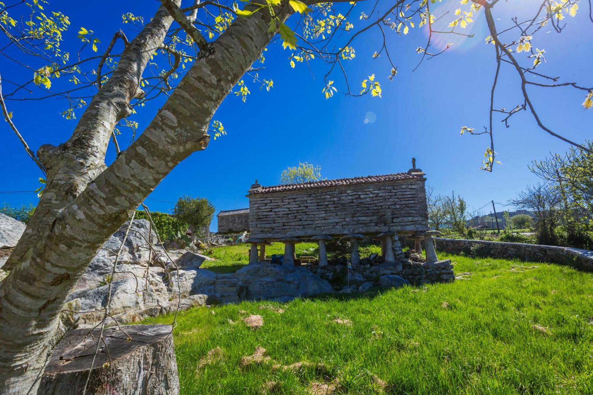 Casa Lela Dumbria Guest House Екстериор снимка